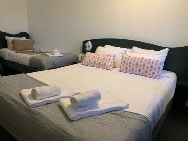 Chambre triple de l'Hôtel Heod à Binic-Étables-sur-Mer, lit double et lit simple côté jardin, idéale entre amis ou en famille