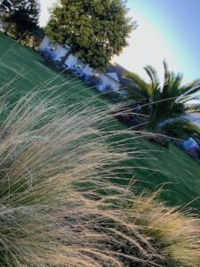 88475F22-DDDD-47D8-8FB5-225598C2A77B