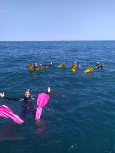 Plongeurs en surface avec palmes colorées dans la baie de Saint-Brieuc lors d’une sortie avec Armor Plongée