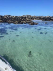 Eaux turquoise et fonds marins visibles autour des îles de Saint-Quay dans la baie de Saint-Brieuc
